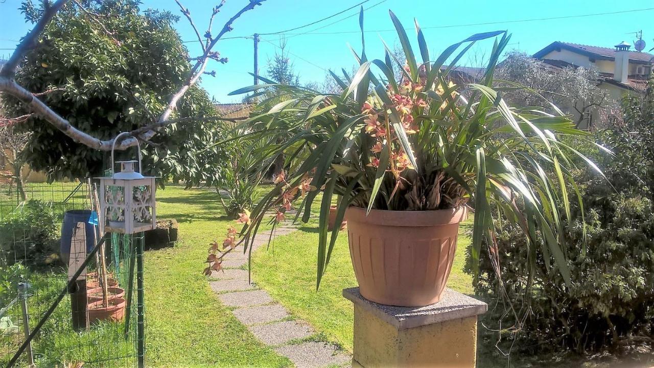 B&B Villa C'Era Una Volta Marina di Massa Exterior foto