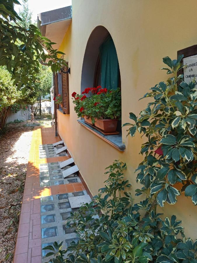 B&B Villa C'Era Una Volta Marina di Massa Exterior foto